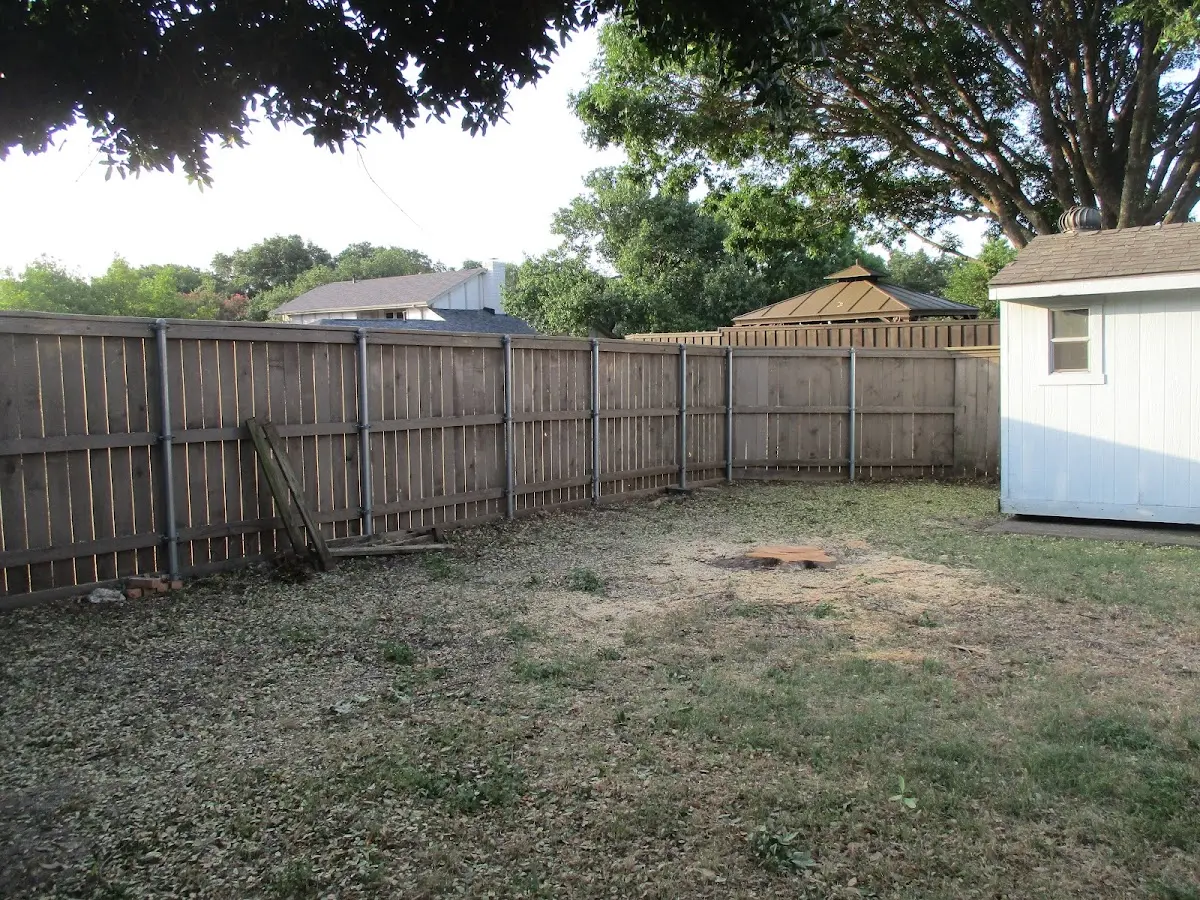 Cleared yard after professional tree removal in North Miami Beach